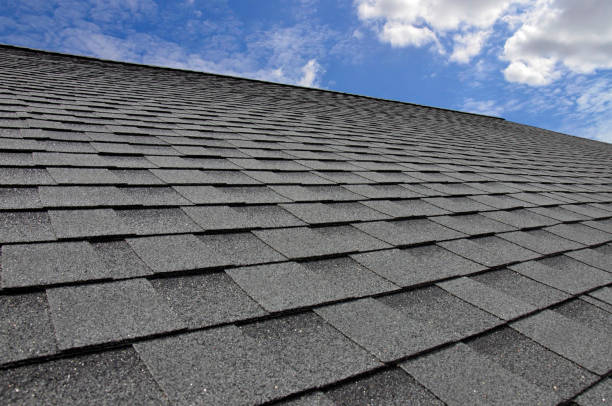 Best Steel Roofing  in Columbia Falls, MT